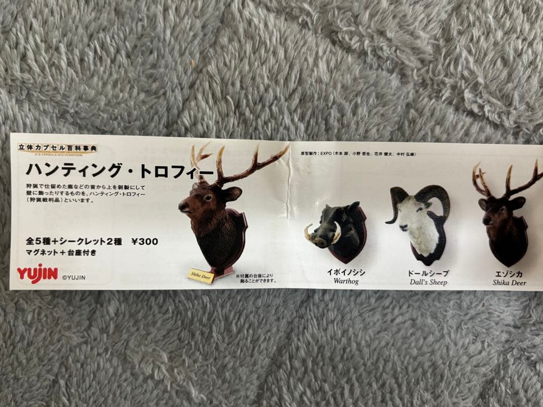 ハンティングトロフィー シークレット エゾシカ ヘラジカ ドールシープ