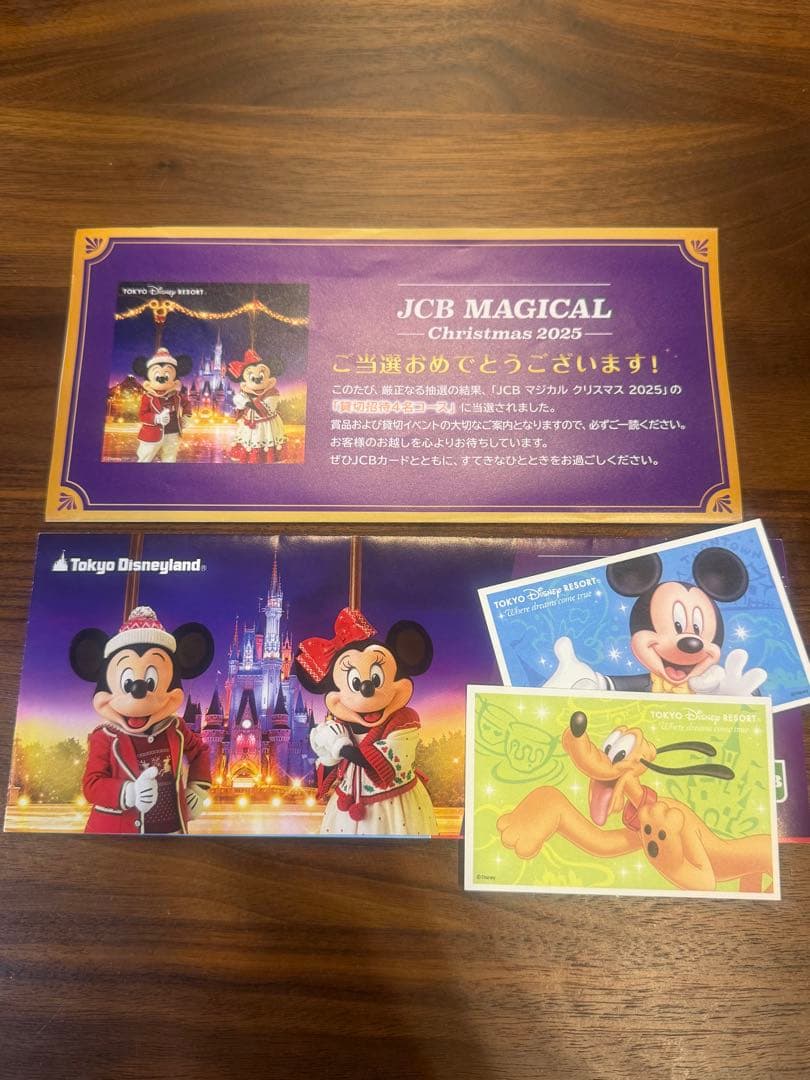 東京ディズニーランド 12月5日貸切 JCBマジカルクリスマス2025ナイト2