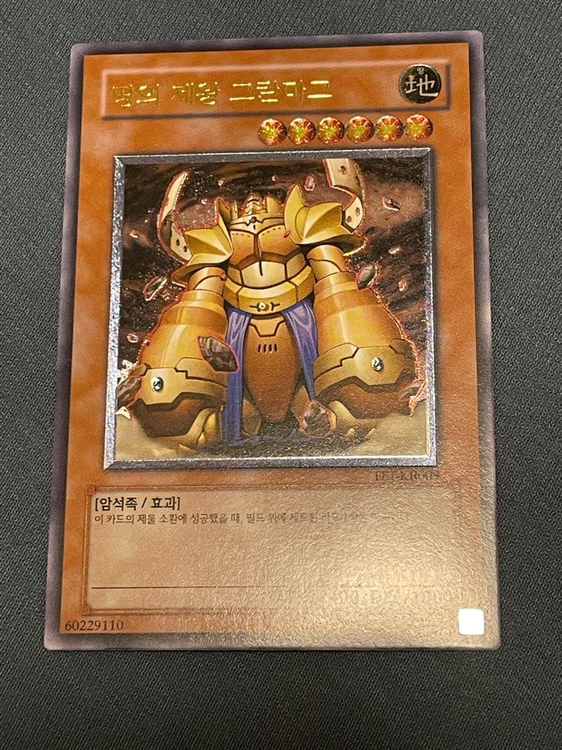 韓国 遊戯王 地帝グランマーグ FET レリーフ - メルカリ