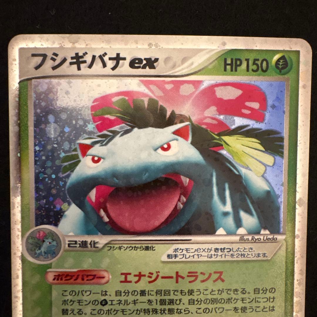 ゆんの気まぐれオークション （松） フシギバナ リザードン カメックス