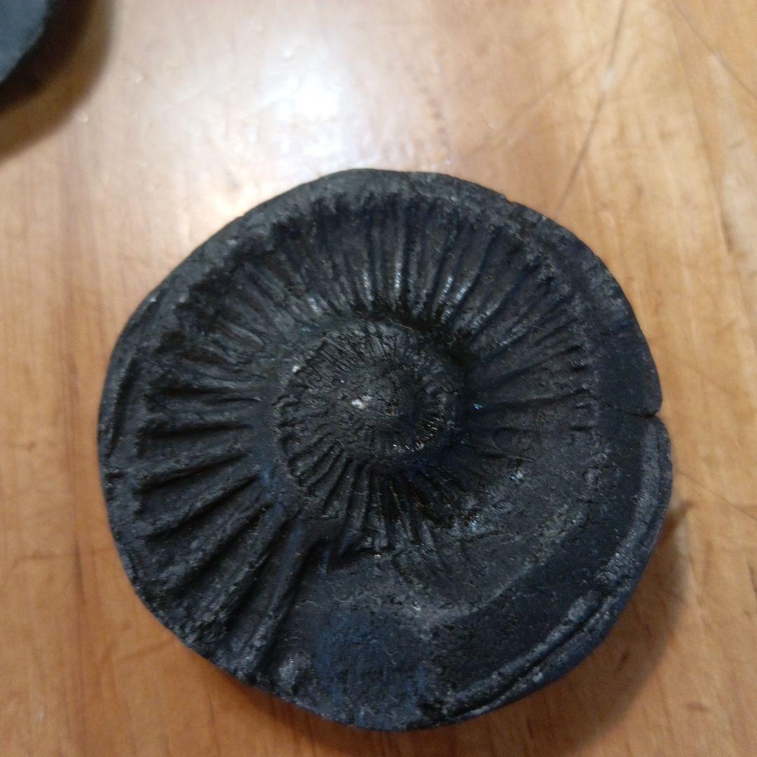 ネパールムクチナート産出。黒色アンモナイト化石 大きいサイズ(希少