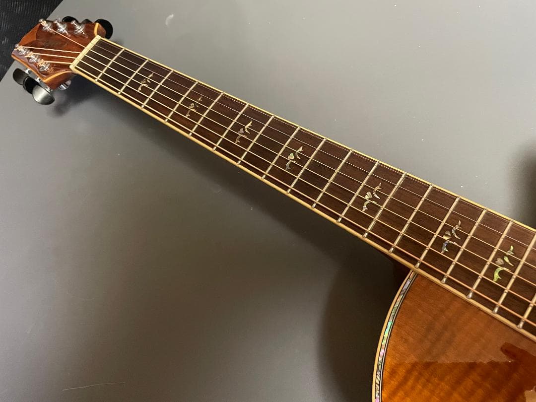 Takamine Cooder TCP-560VB - ギター最低 価格