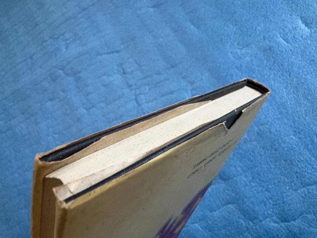 やさしい数学Ⅰ 渋谷幸敏　洛陽社