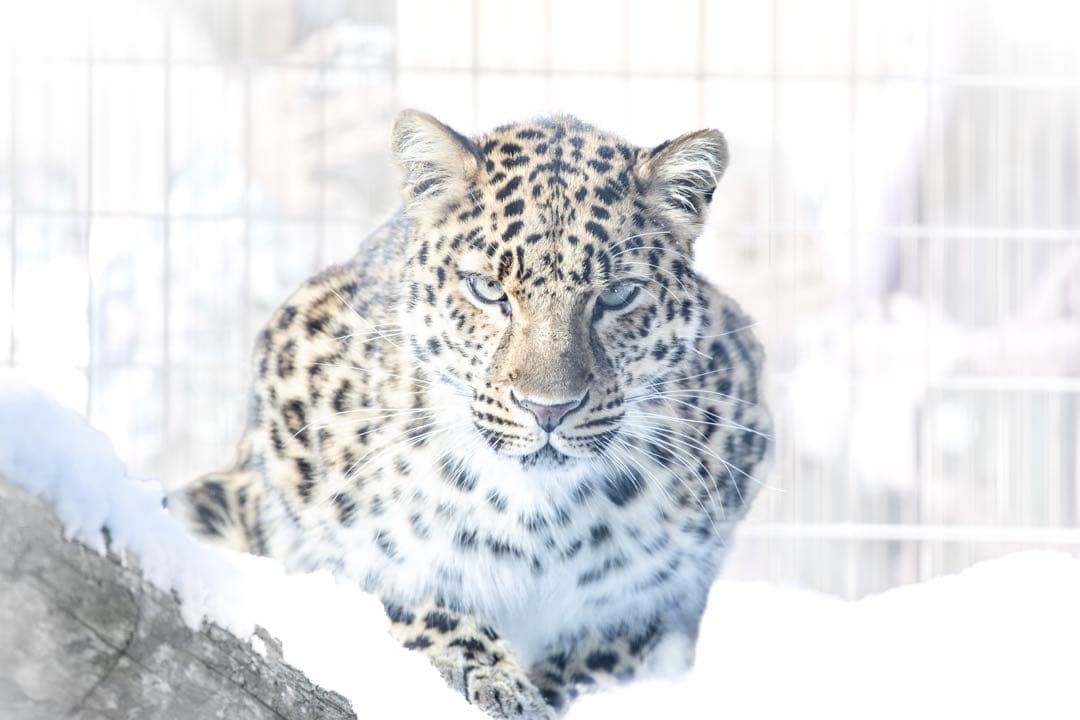 Eマウント　TAMRON 150-500mm F/5-6.7 Di III