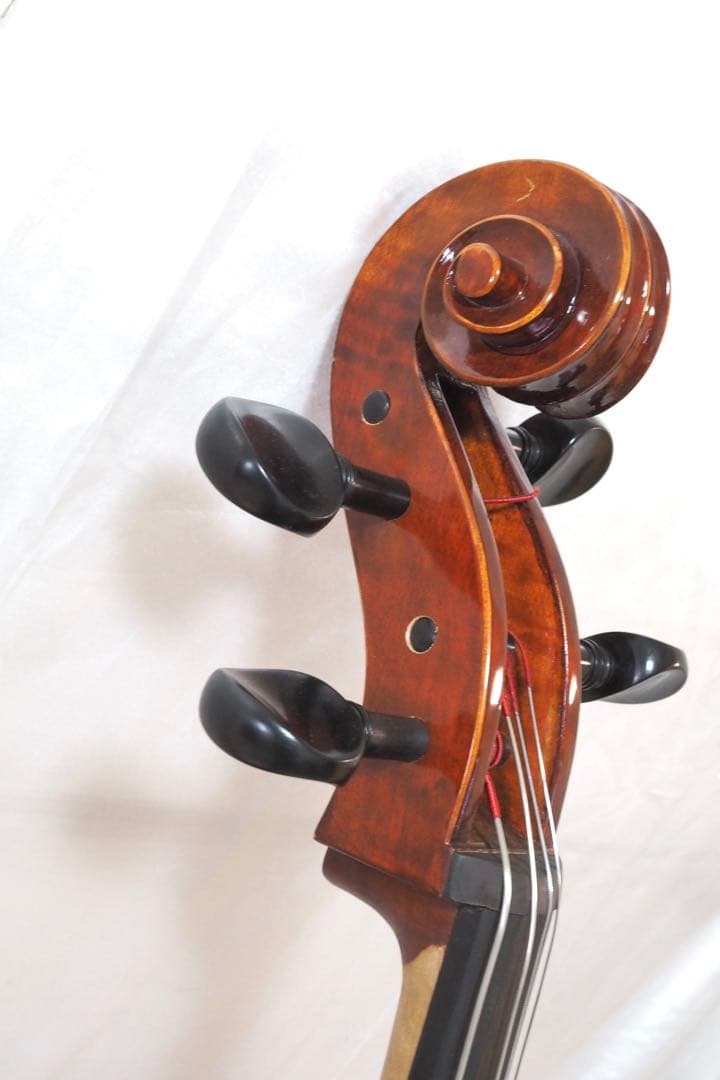 Carlo Giordano SC-240 チェロ カルロジョルダーノ - メルカリ