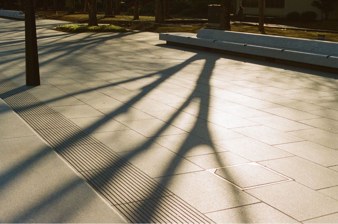 「美品」Nikon F100 Nikkor AF 50mm 1.4D