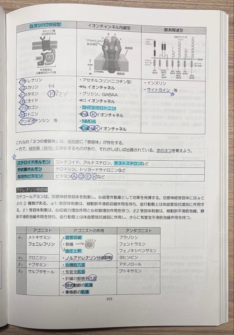 歯科医師国家試験 ロムニーハウス 必修 Winning Note 119 - メルカリ