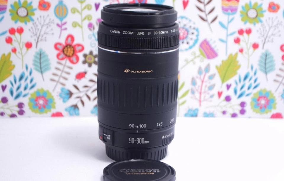 ★美品★一眼用 超迫力望遠レンズ キヤノン EF90-300mm Canon EF90-300mm F4.5-5.6 - キヤノンカメラミュージアム