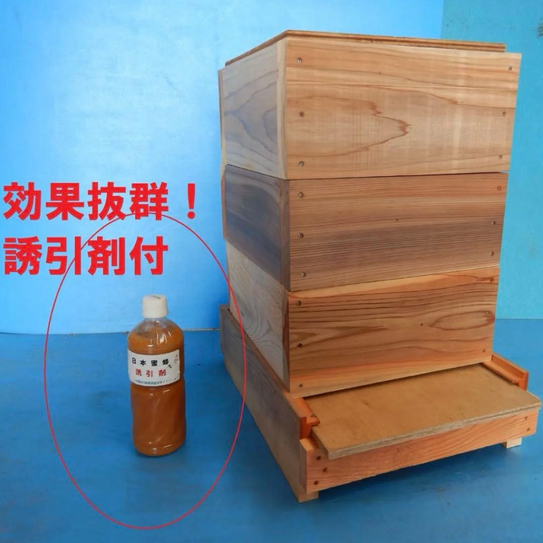 マレーシア産 最大種のタマムシ 74mm