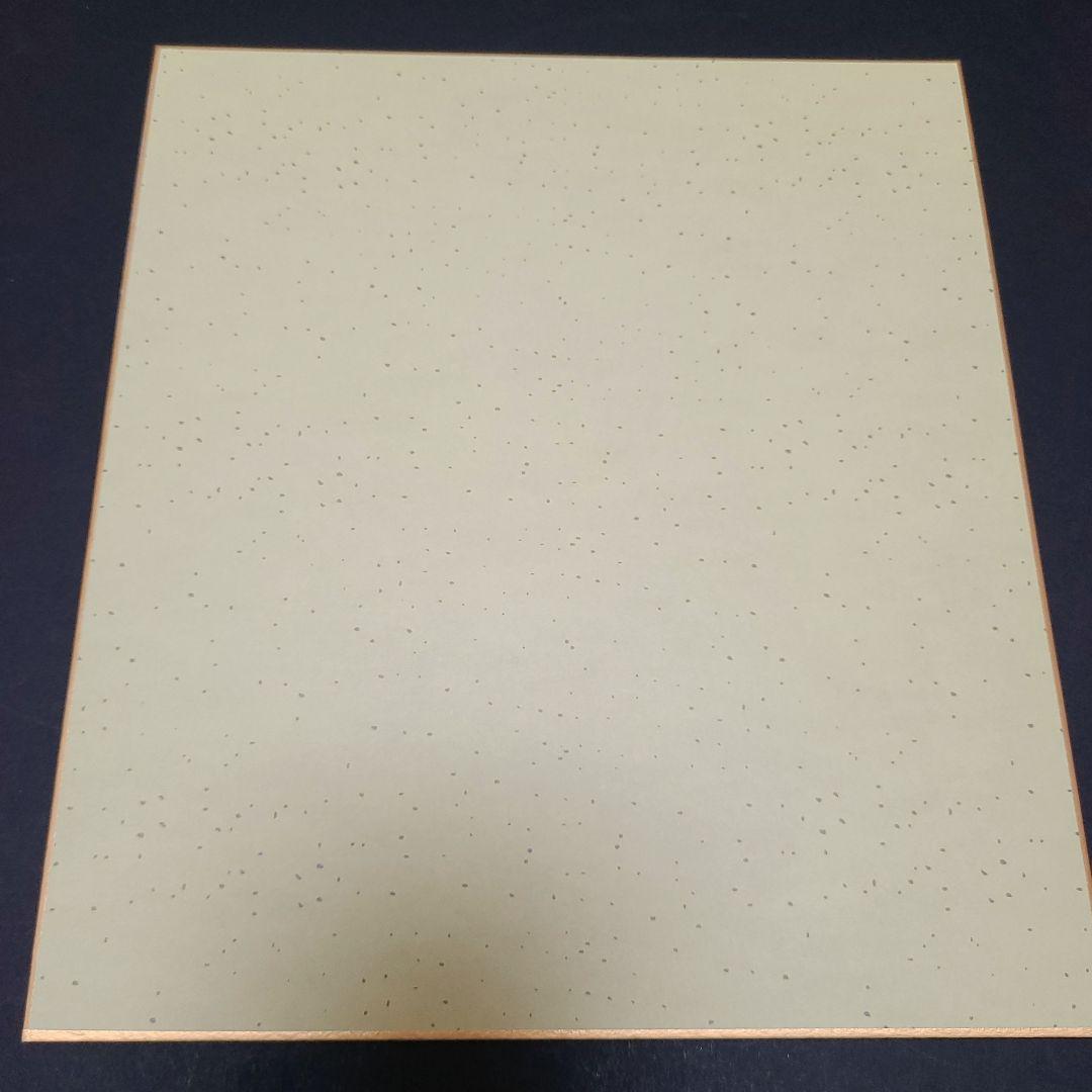 美少女戦士 セーラームーン 水野亜美イラスト直筆サイン色紙