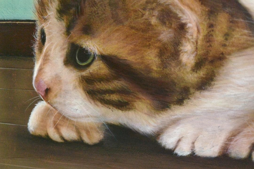 アクリル画 仲良し仔猫 A2 | 激安通販のイーサプライ