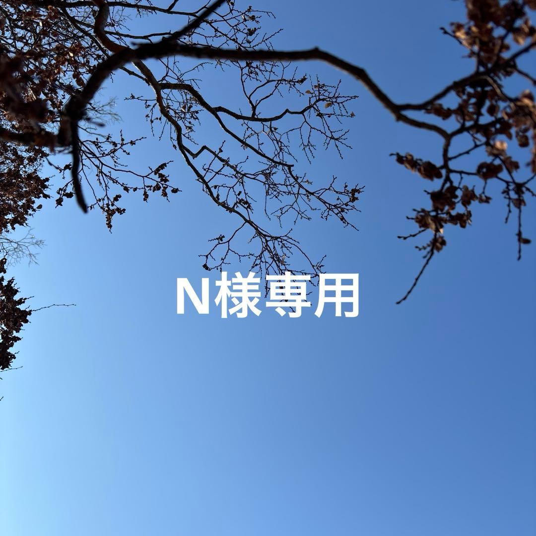 Nページですm(_ _)m 2025 Ski-Doo MXZ® NEO® 600 EFI - 40 120 Cobra 1.0 | Action Power