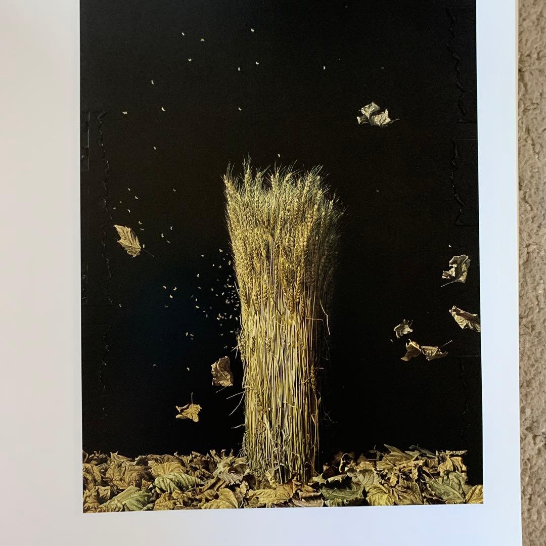 野田弘志展 明晰なる神秘 - メルカリ