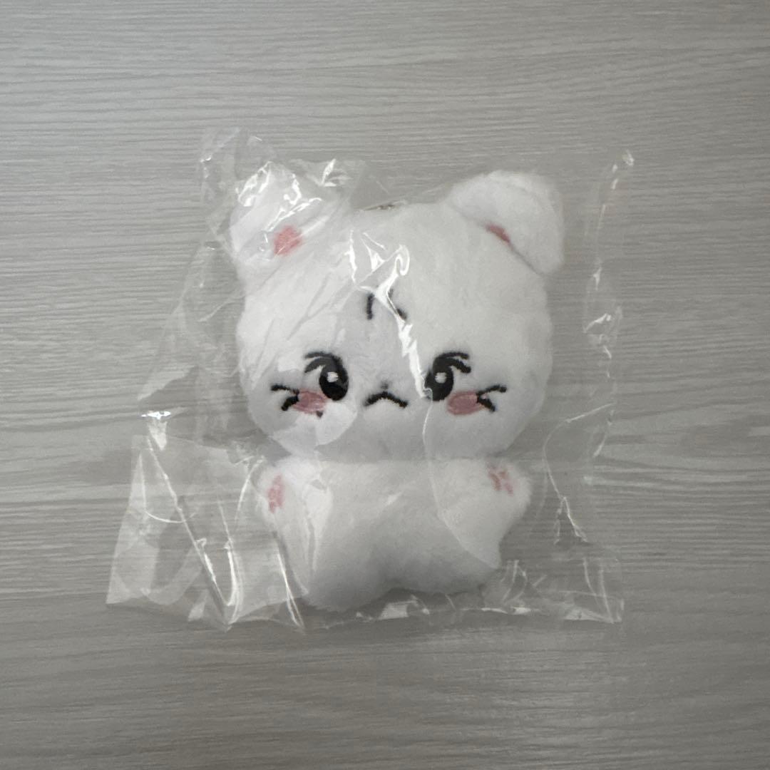 ENHYPEN ジョンウォン 10cmドール ぬいぐるみ - メルカリ