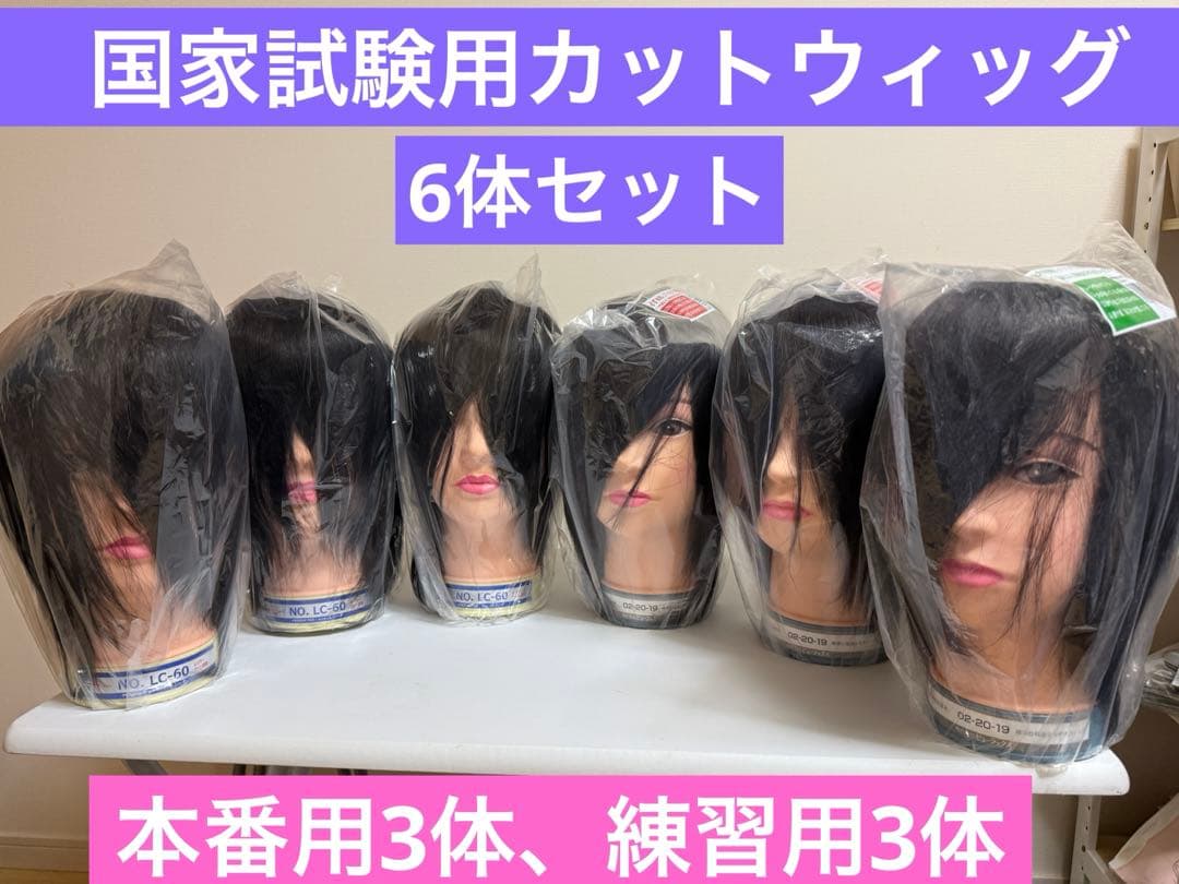 国家試験用カットウィッグ6体セット - メルカリ