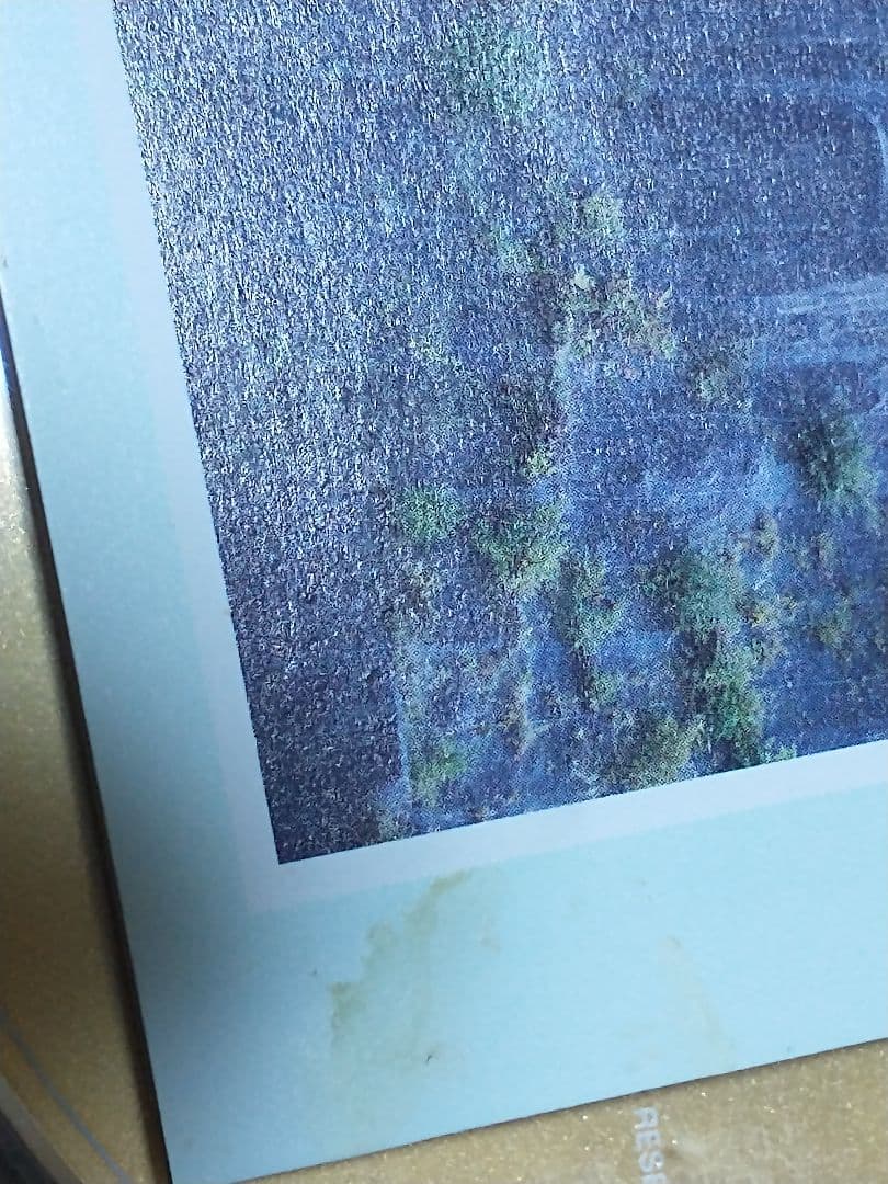 ヒトリエ IKI CD+DVD 初回盤