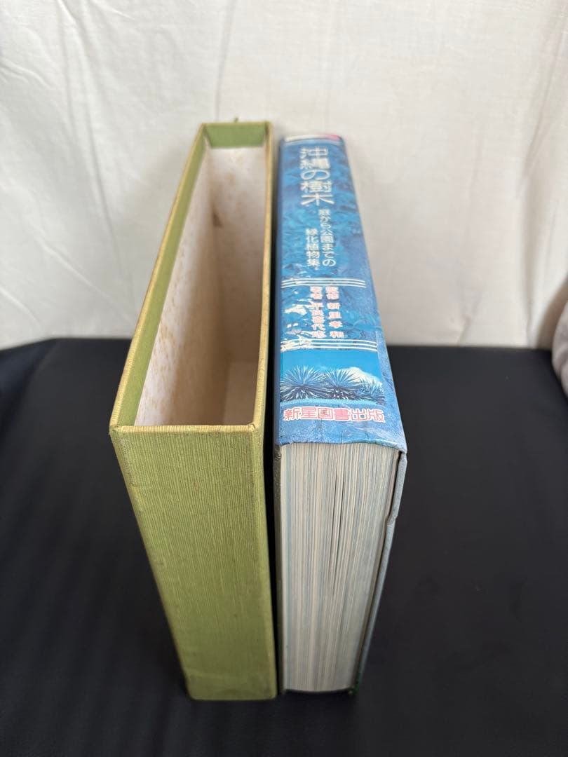 カラー版 沖縄の樹木 庭から公園までの緑化植物集 新興出版社