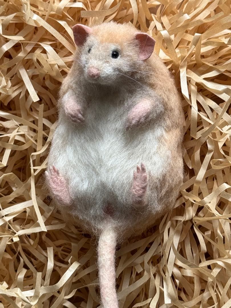 ファンシーラット　羊毛フェルト 額縁ファンシーラット - うささんの GALLERY | minne byGMOペパボ 国内