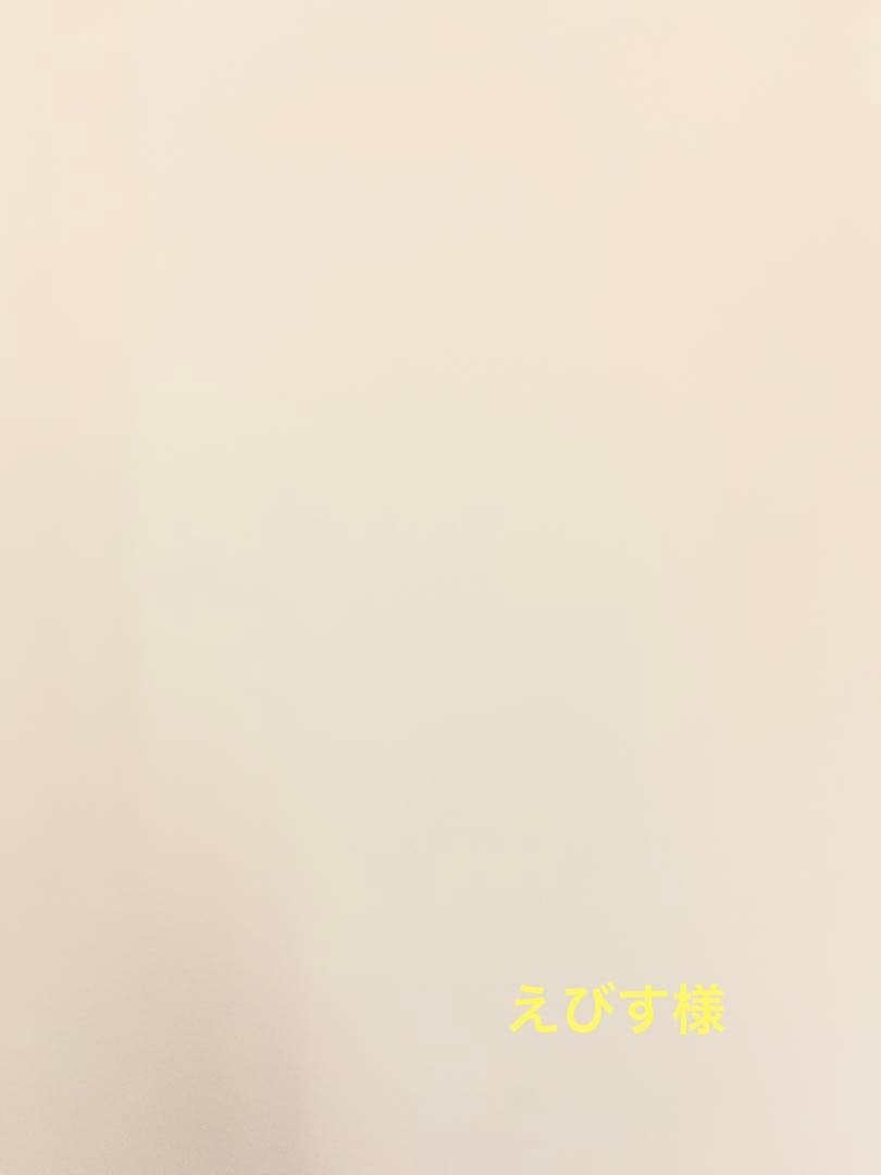 えびす 楽天市場】ネコポスOK エビス ebisu ED-TBOX 水平器 2種類展開 トビ