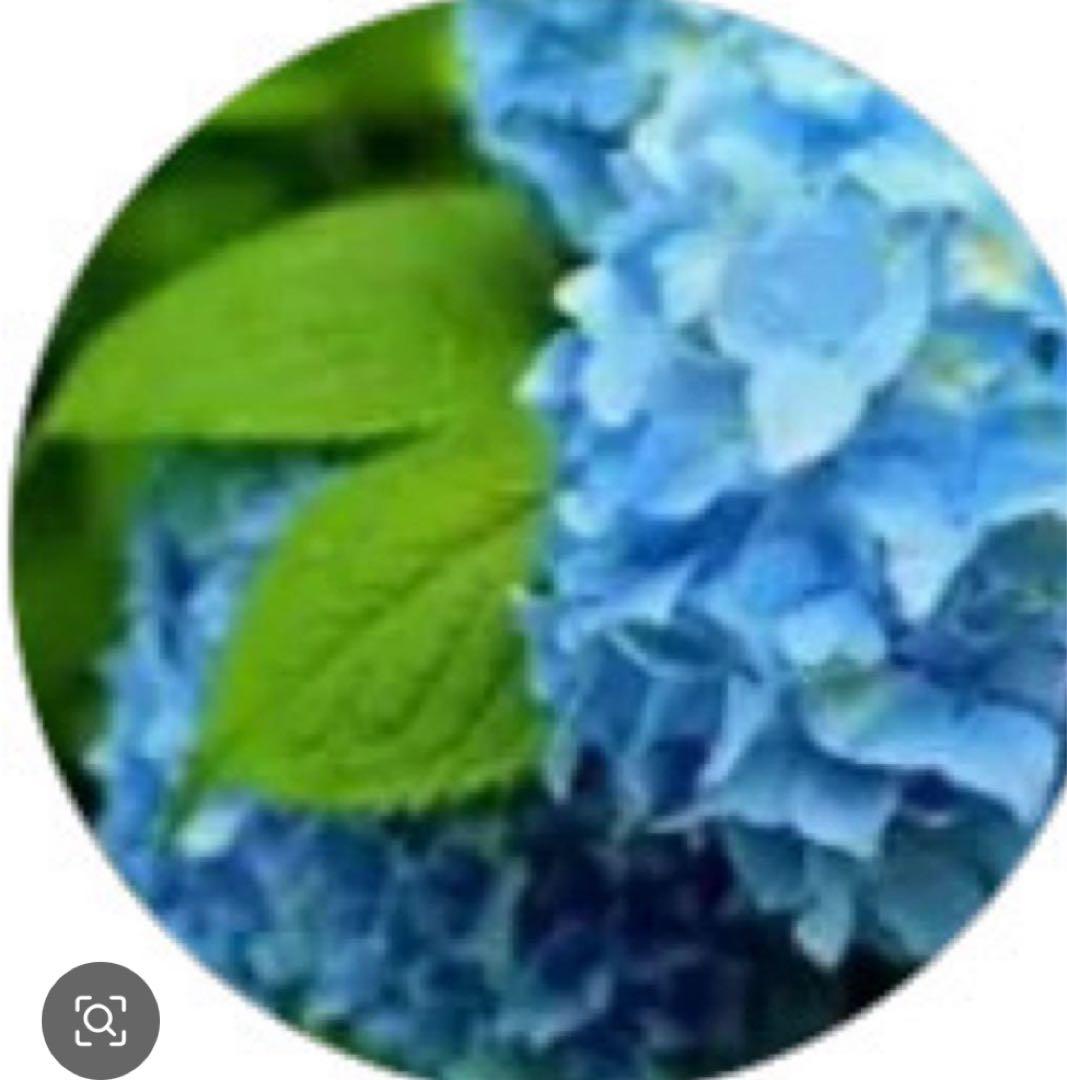 語学・辞書・学習参考書 junbu 1520 学習参考書・辞典 – Tsubaki japanese bookstore