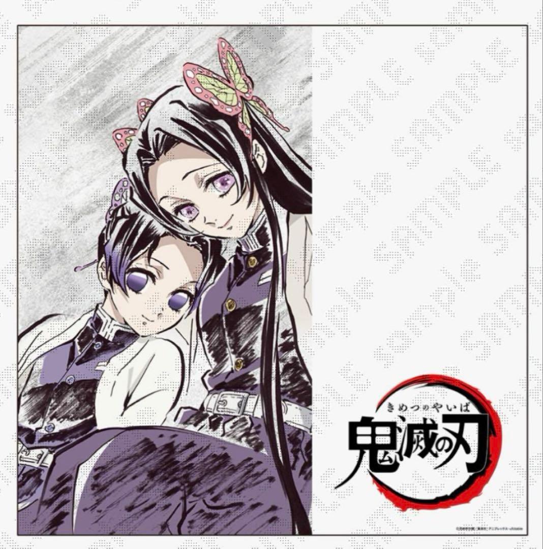 鬼滅の刃 柱稽古編 アイキャッチビッグポスター 胡蝶しのぶ カナエ