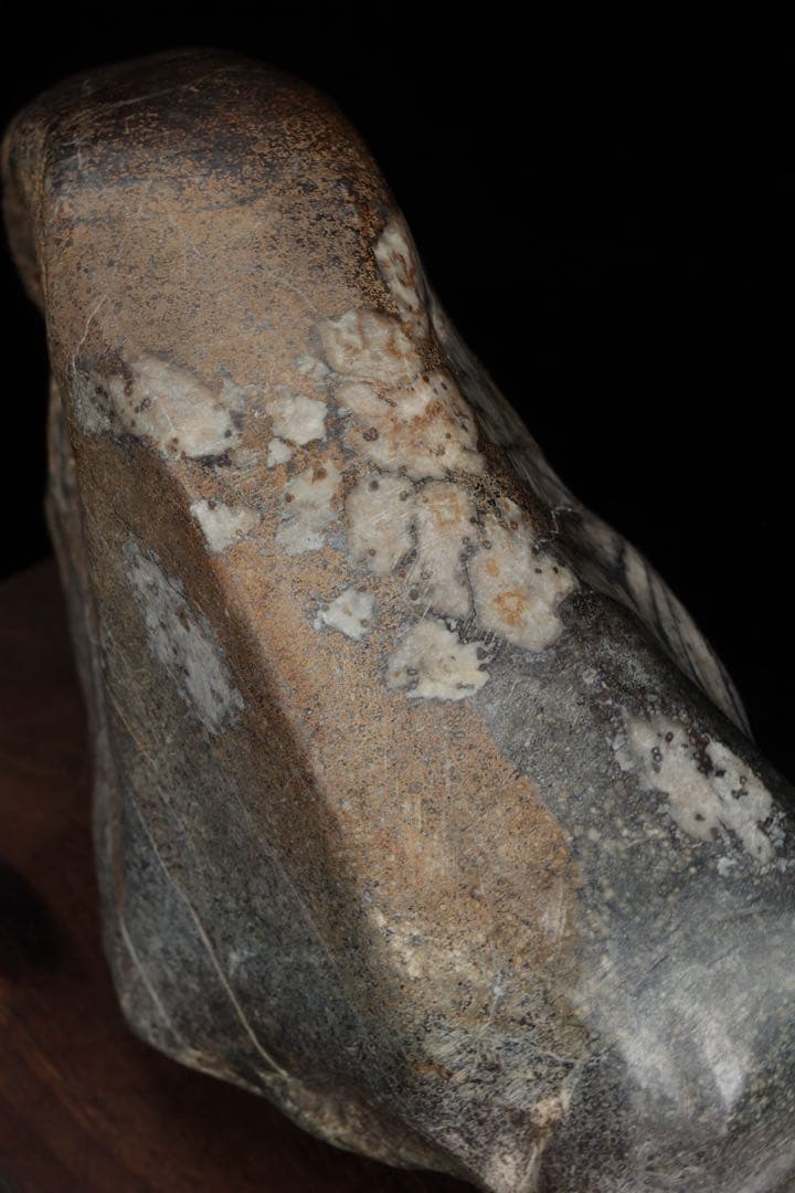 h*o様 菊花石 サバ菊 一輪 紋石 台座付 4.1kg 鑑賞石 自然石 原石