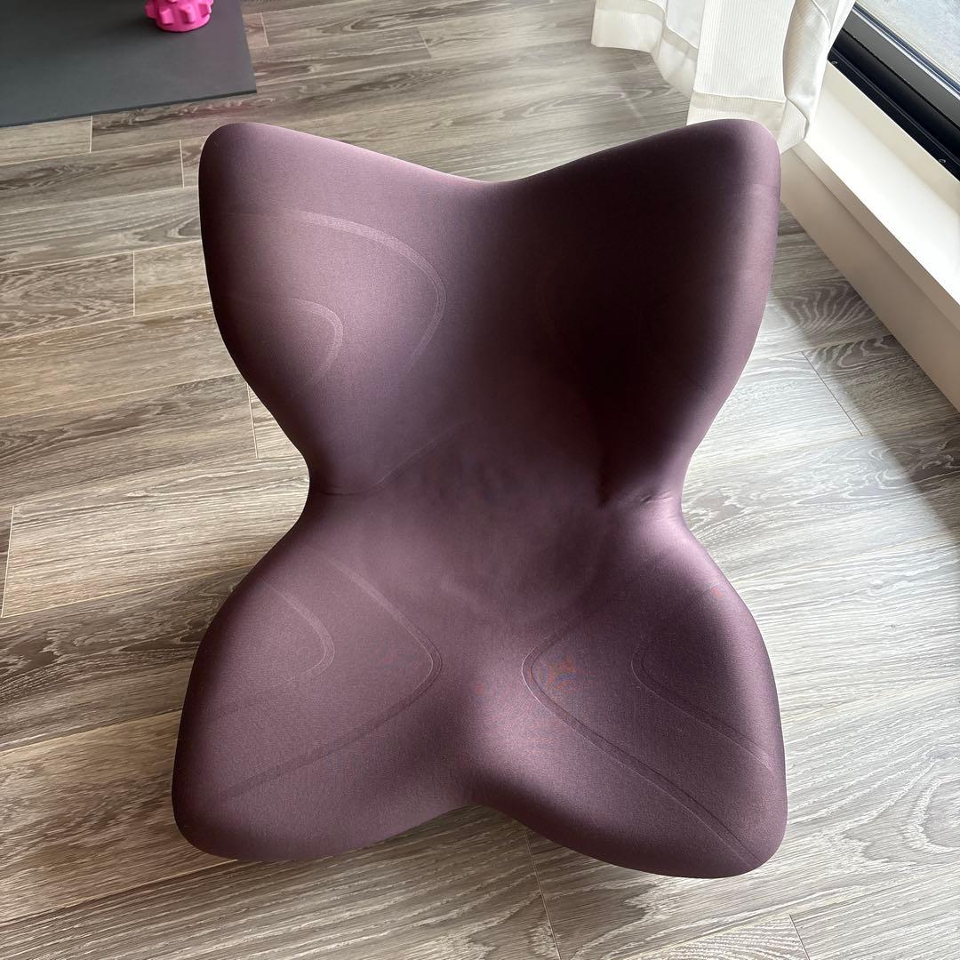 MTG座椅子　スタイルプレミアム【ブラウン】 Style（スタイル） ○ポイント10倍！○ MTG公式ストア 座椅子