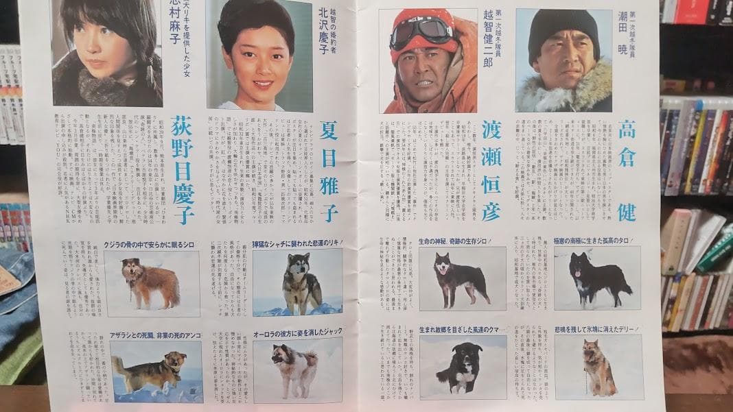 南極物語DVDと当時のパンフレット - メルカリ