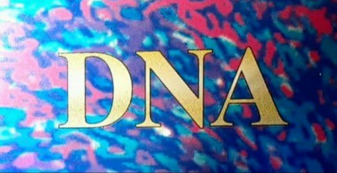 DNA VIRUS X-JAPAN 黒蝪蝶 AION ジャパメタ 廃盤 激レア