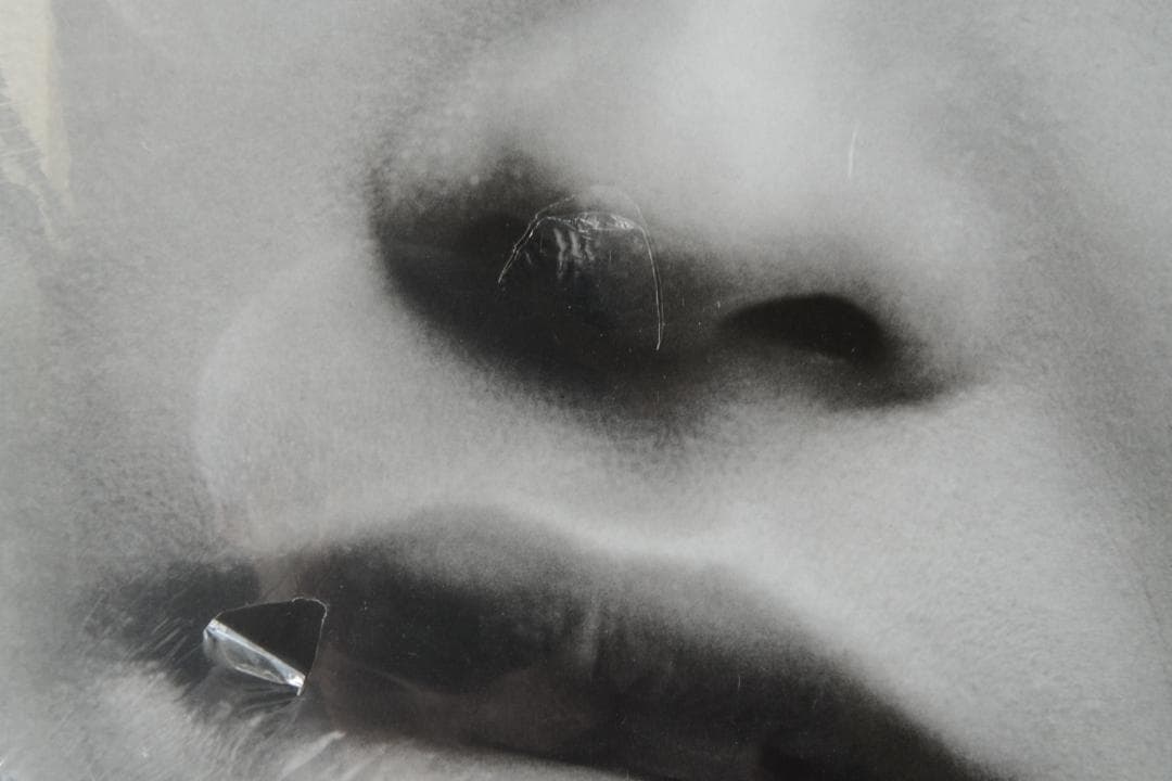 Shomei Tomatsu：Skin of the Nation 東松照明】 - メルカリ