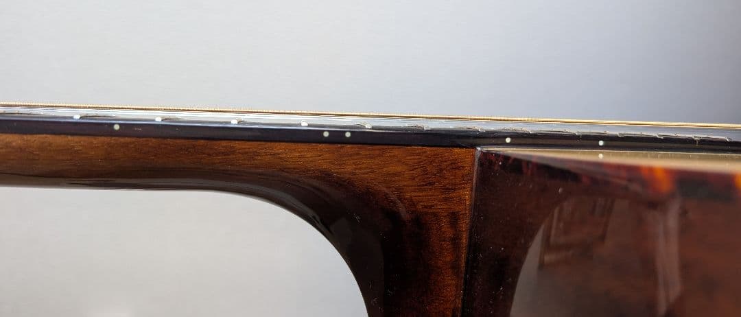 トップ単板美品☆アンプ不要！リバーブやコーラスがかかる