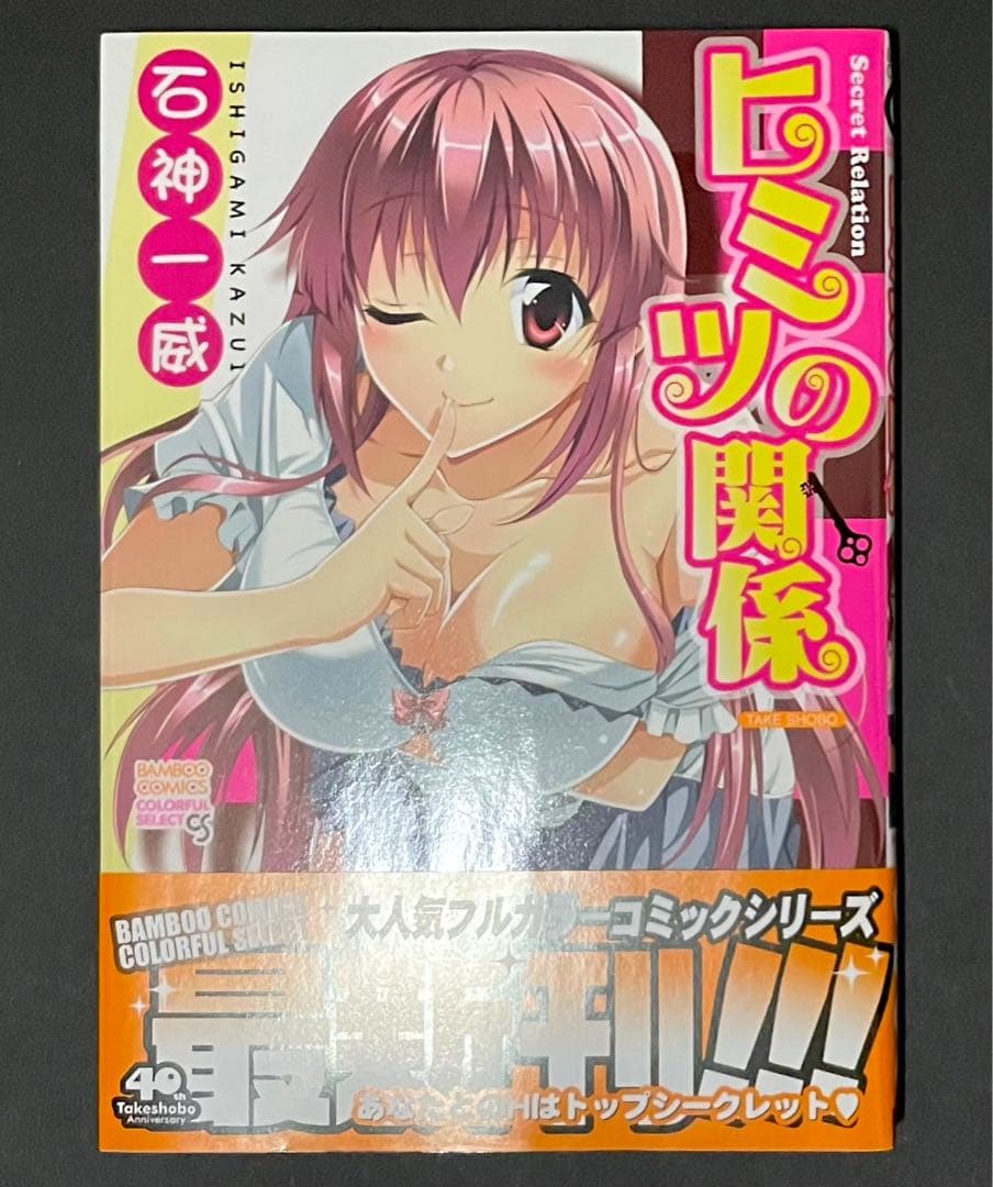 希少作品 ヒミツの関係