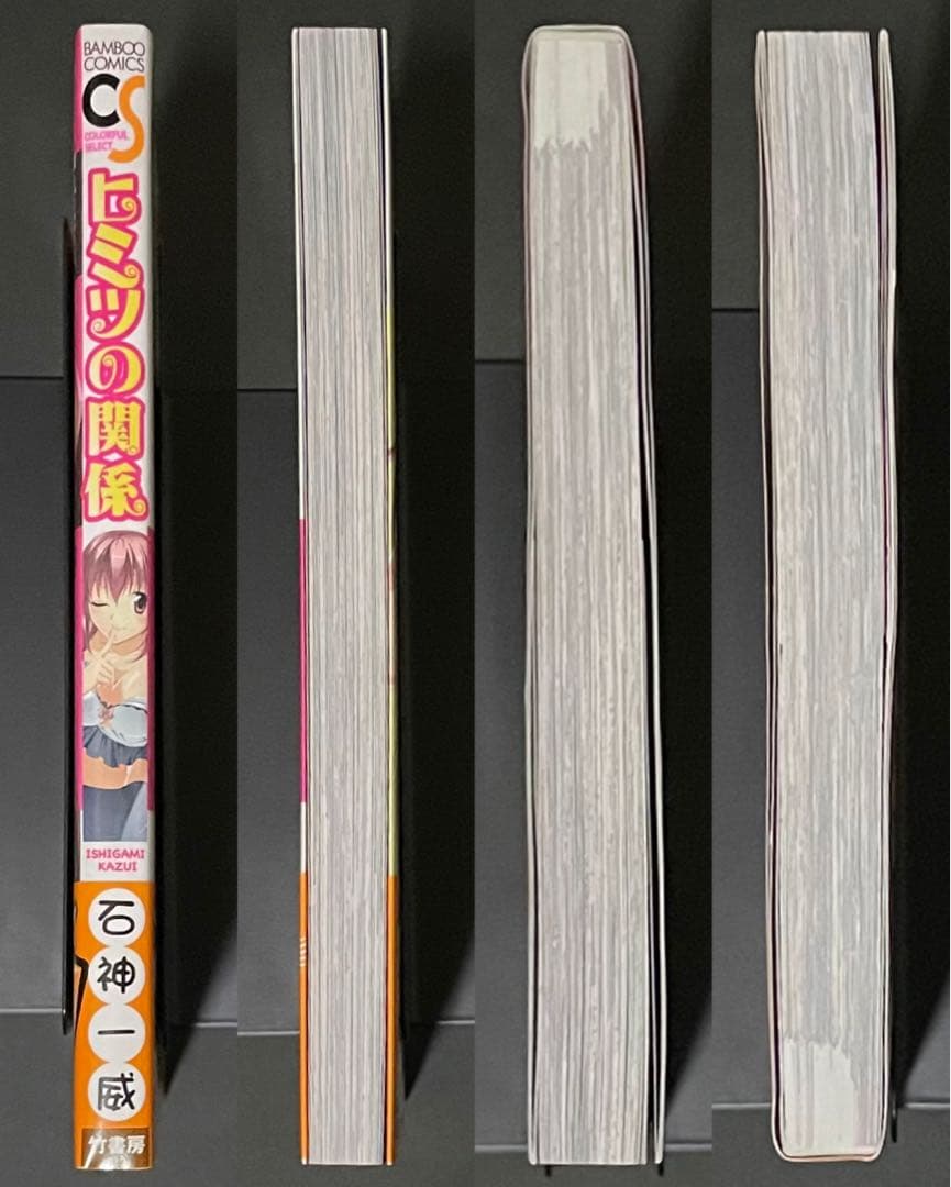 希少作品 ヒミツの関係