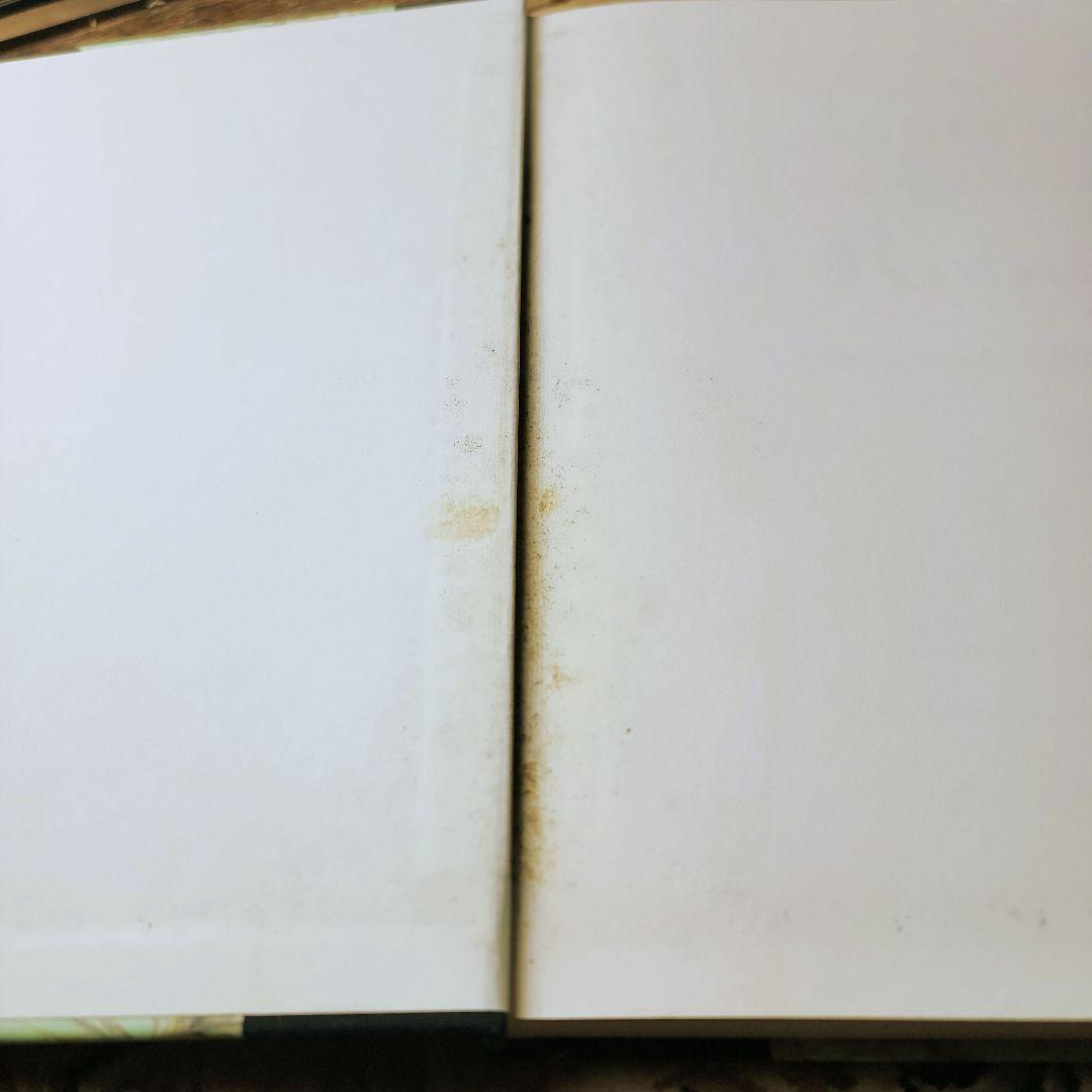 フランス料理本【ジョエル・ロブションの芸術】～限定3000部発行 ～《激レア》