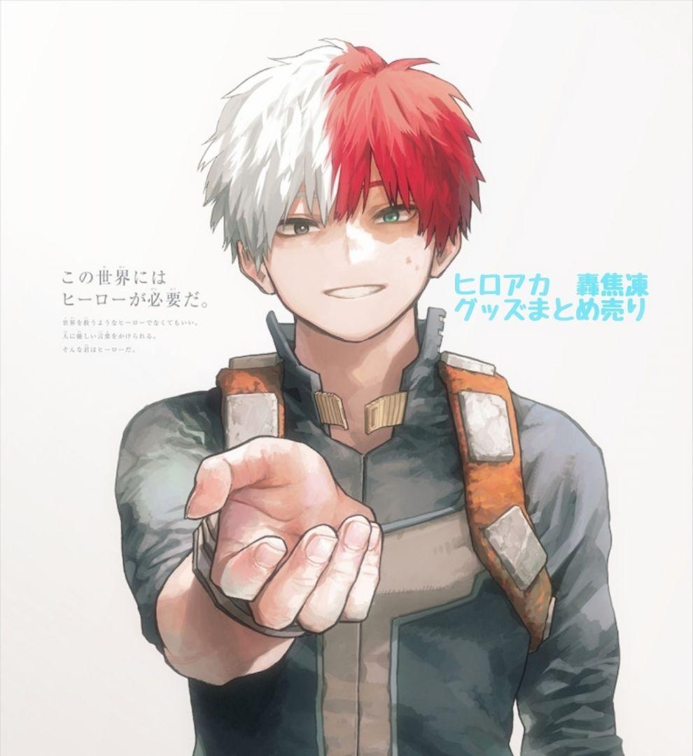 ヒロアカ 轟焦凍まとめ売り - メルカリ