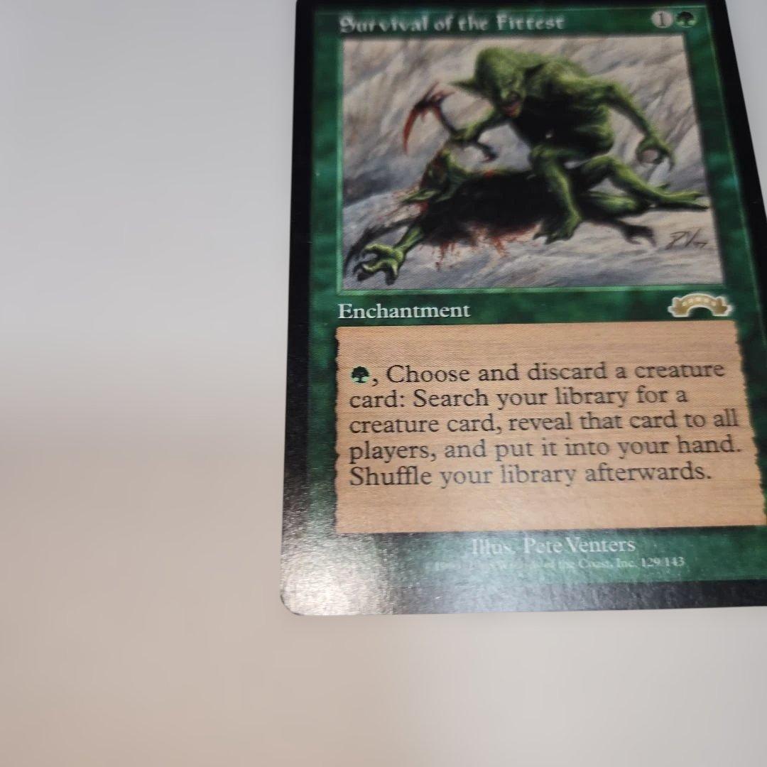 【激レア】適者生存　NM相当