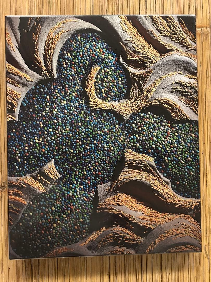 DANIEL OST in JAPAN アートブック - メルカリ