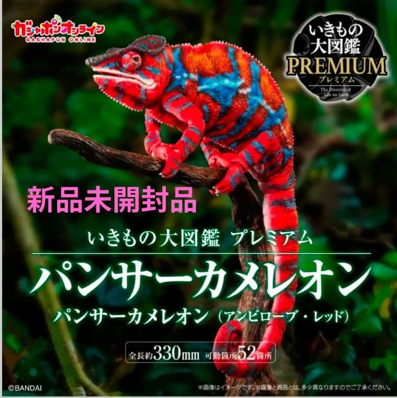 新品 いきもの大図鑑プレミアム パンサーカメレオン（アンビローブ