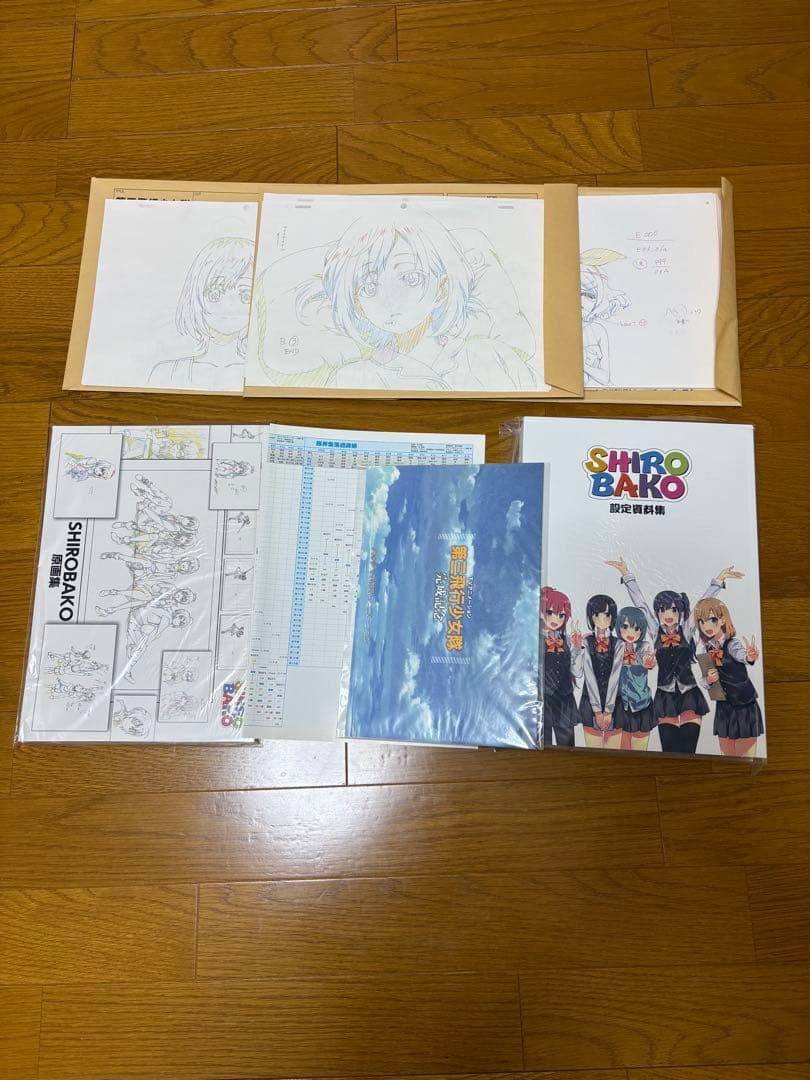 SHIROBAKO　設定資料集&原画集セット 設定原画集】劇場版SHIROBAKO 設定資料集 | アニメイト