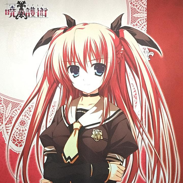 暁の護衛 二階堂麗華 タペストリー 9本セット 【稀少品】 - メルカリ