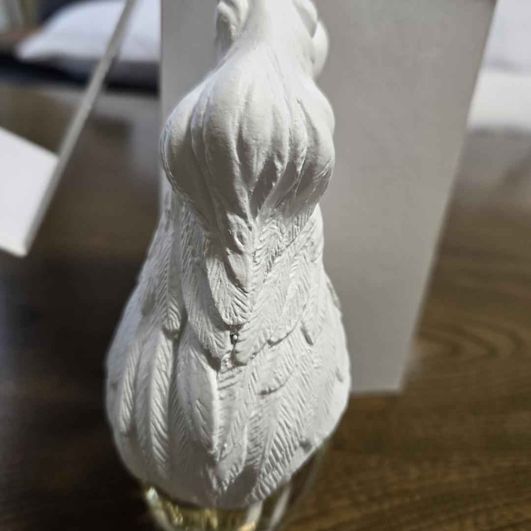 未使用 石井竜也　香水　PEGASUS