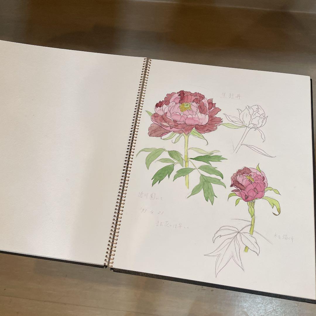 河村大蔵　蔵石　スケッチブック