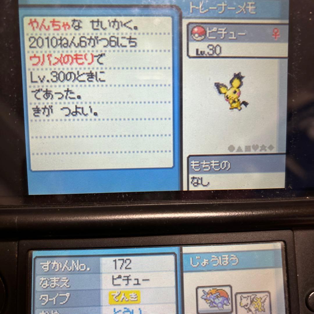 ポケモンハートゴールドソウルシルバーセットHGSS(カスタマイズ