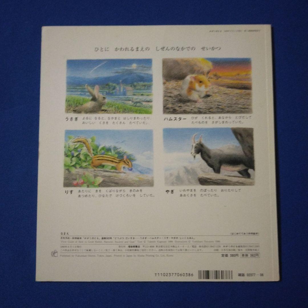 かがくのとも ビッグサイエンス キンダーブックしぜん ハムスターの