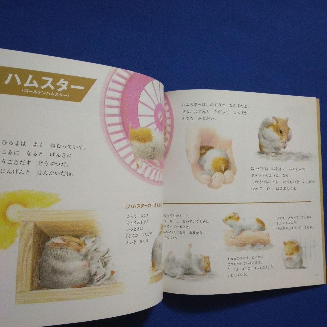 かがくのとも ビッグサイエンス キンダーブックしぜん ハムスターの