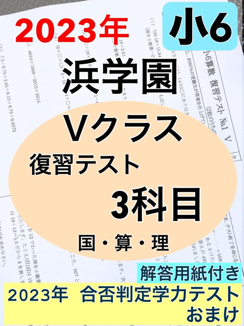浜学園　最新版　2023年　小6　復習テスト　Vクラス　算国理　1年分 美品 浜学園 小6 マスター Vクラス 復習テスト 4教科 国語 算数 理科 社会p