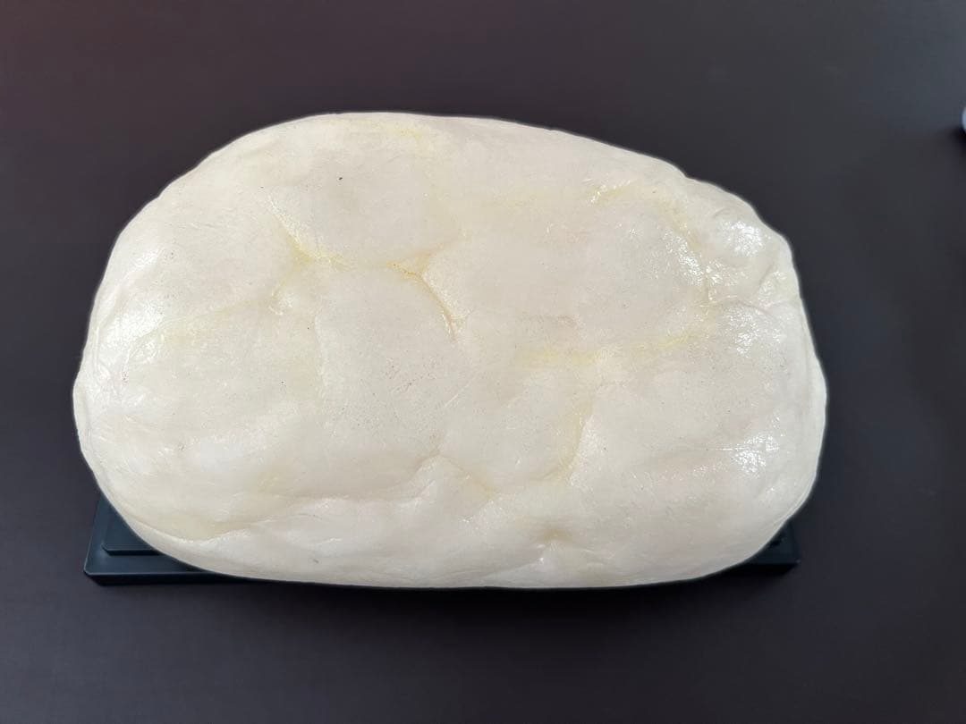 り*ん様 筋肉模型 脂肪模型 1kg 川崎フードモデル - メルカリ