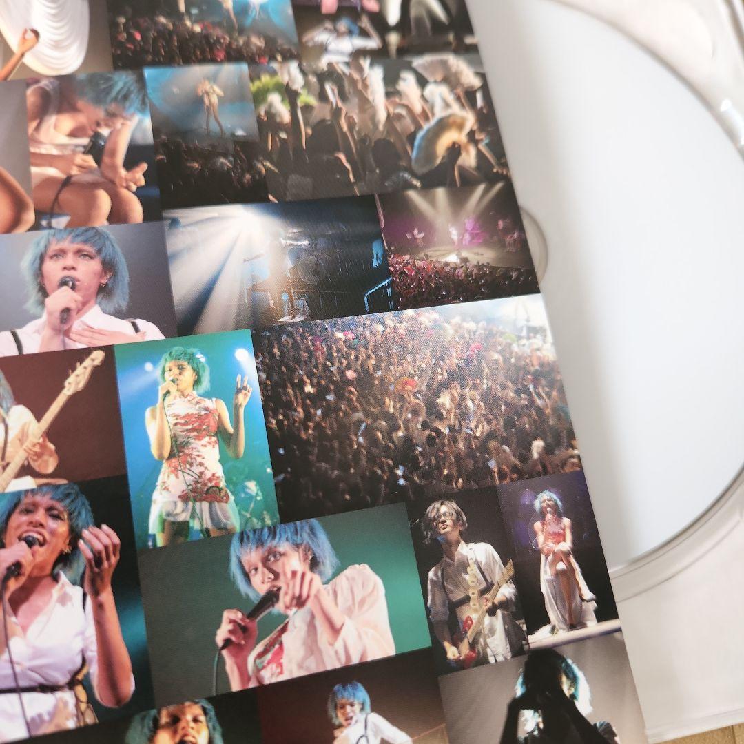 (最終価格)　女王蜂/白兵戦　初回生産限定盤　DVD