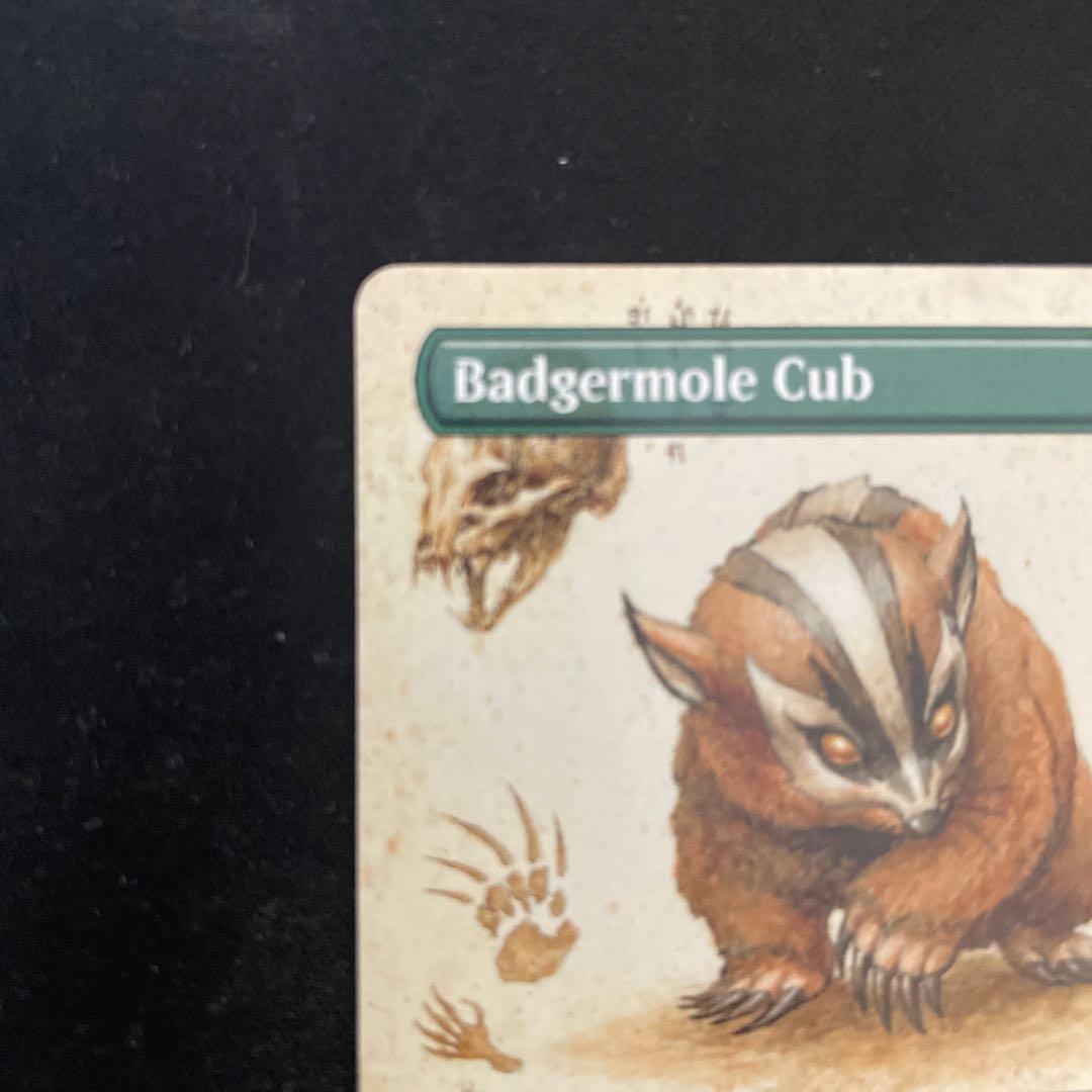 MTG アナグマモグラの子 英語 ボーダレス Badgermole Cub - メルカリ