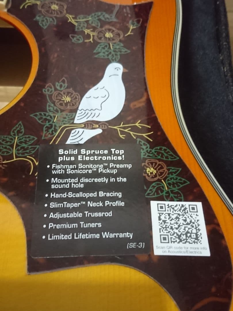 とにかくキレイ❗Epiphone Dove Pro アコースティックギターとにかく